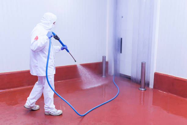 Trusted Limon, CO Pressure Washing Experts