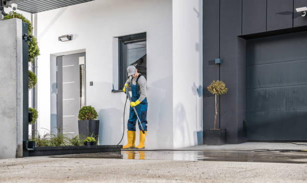Best Gutter Cleaning  in Limon, CO